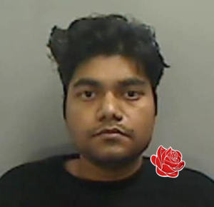 Ratnakar Singh – profile image
